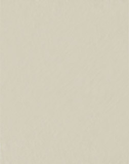 墙面找平/找平腻子